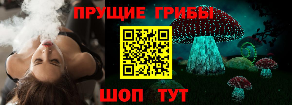 Псилоцибиновые грибы мицелий Тара