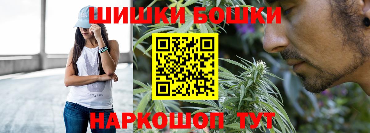 Марихуана сатива Тара